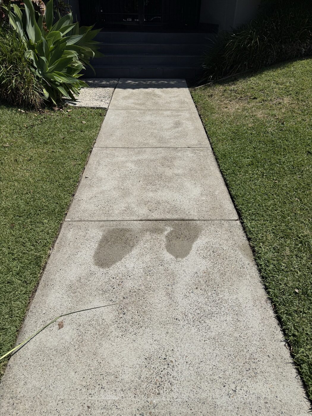 Before cleaning — stained concrete pathway at Queenscliff