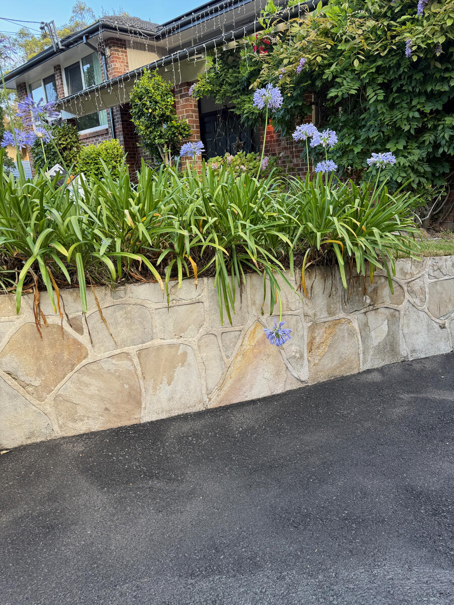 Sandstone retaining wall and driveway — after pressure wash