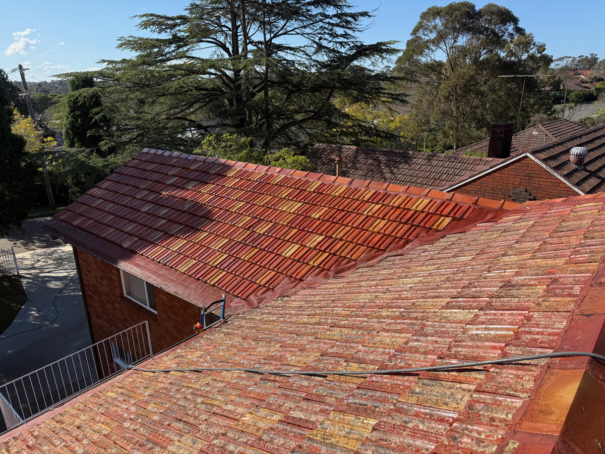Terracotta roof tiles — after soft wash