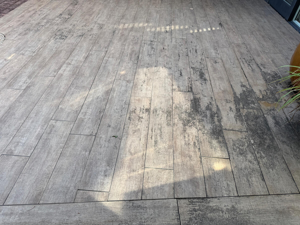 Timber-look tile pool deck — before soft wash