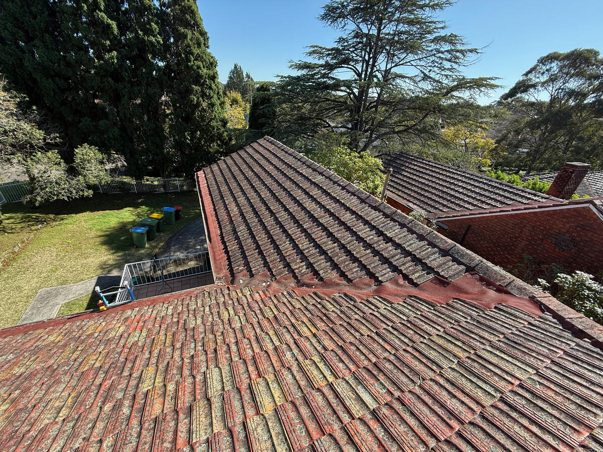 Terracotta roof tiles with moss and lichen — before soft wash