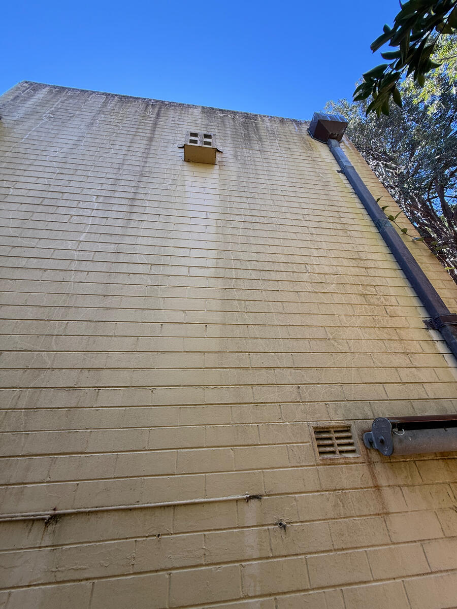 Cream rendered exterior wall with weather staining — before
